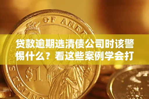 武汉贷款逾期选清债公司时该警惕什么？看这些案例学会打翻身仗