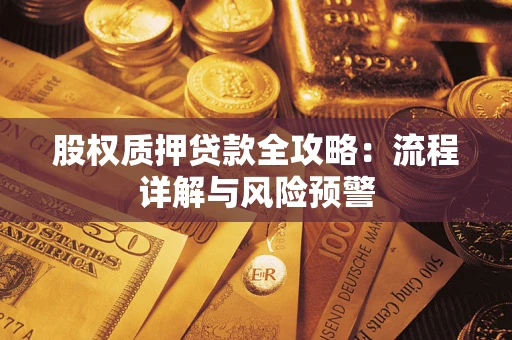 武汉股权质押贷款全攻略：流程详解与风险预警