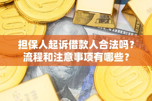 武汉担保人起诉借款人合法吗？流程和注意事项有哪些？