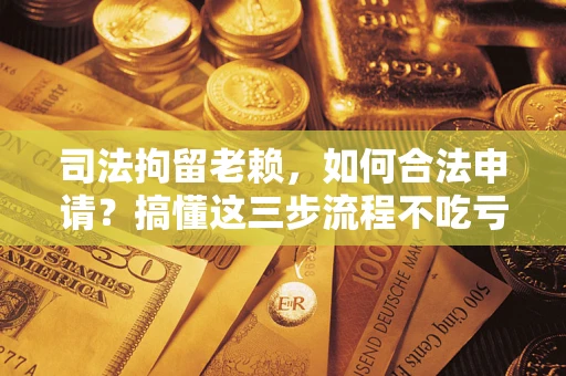 武汉司法拘留老赖，如何合法申请？搞懂这三步流程不吃亏！