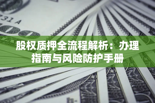 武汉股权质押全流程解析：办理指南与风险防护手册