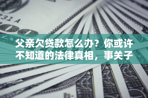 武汉父亲欠贷款怎么办？你或许不知道的法律真相，事关子女未来