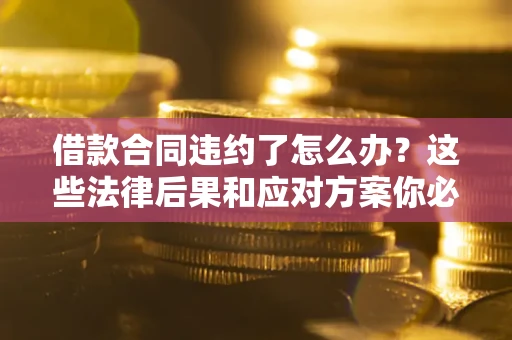 武汉借款合同违约了怎么办？这些法律后果和应对方案你必须知道