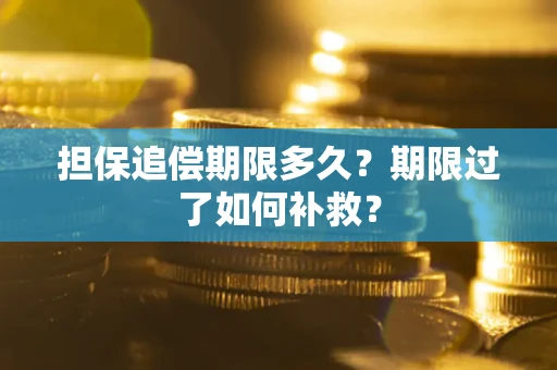 武汉担保追偿期限多久？期限过了如何补救？