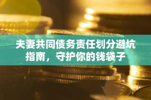 武汉夫妻共同债务责任划分避坑指南，守护你的钱袋子
