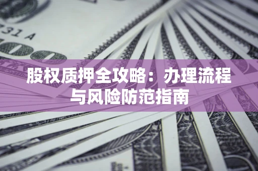 武汉股权质押全攻略：办理流程与风险防范指南